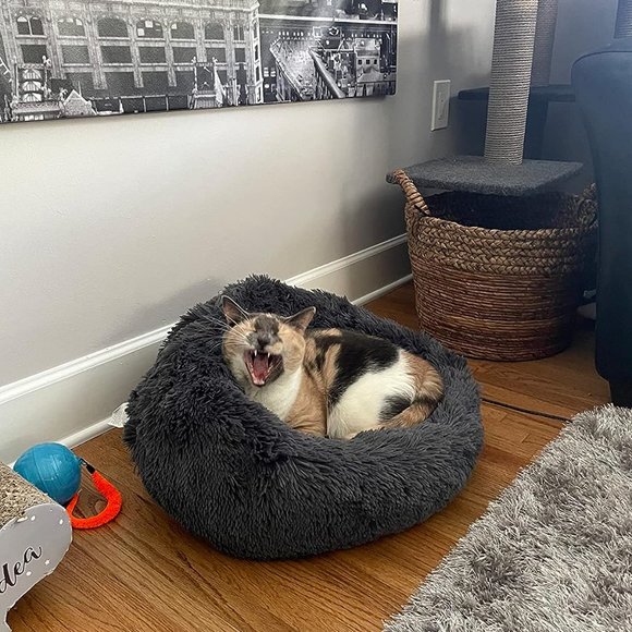 Calming Cat Beds for Indoor Fluffy Plush Faux Fur Pet Washable 20 inches - Picture 7 of 9